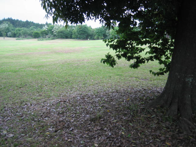 e0009147_1157089.jpg