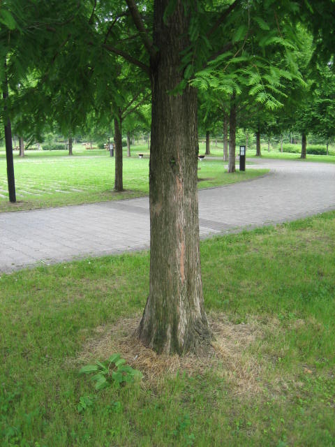 e0009147_11585511.jpg