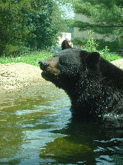 b0001284_10241987.jpg