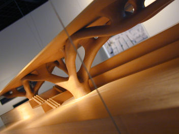 d0026998_744589.jpg