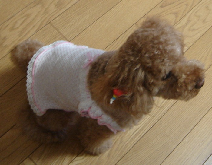 c0041207_22243763.jpg