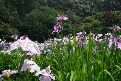 a0034419_11313346.jpg