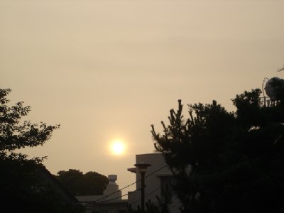 e0003819_691840.jpg