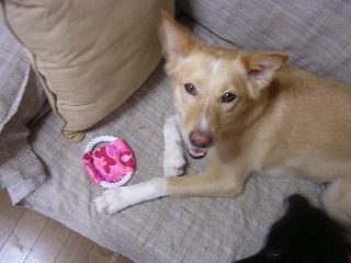c0065643_131194.jpg