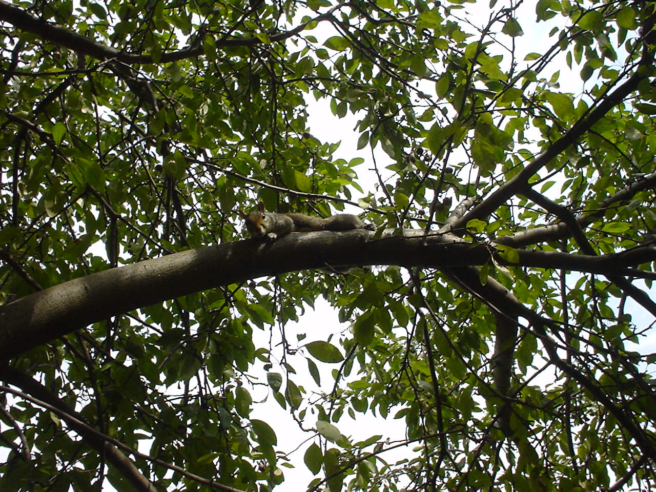 e0015154_4185232.jpg
