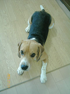 e0007060_20592929.jpg