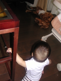 c0072871_2184145.jpg