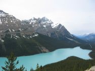 c0037480_5371234.jpg