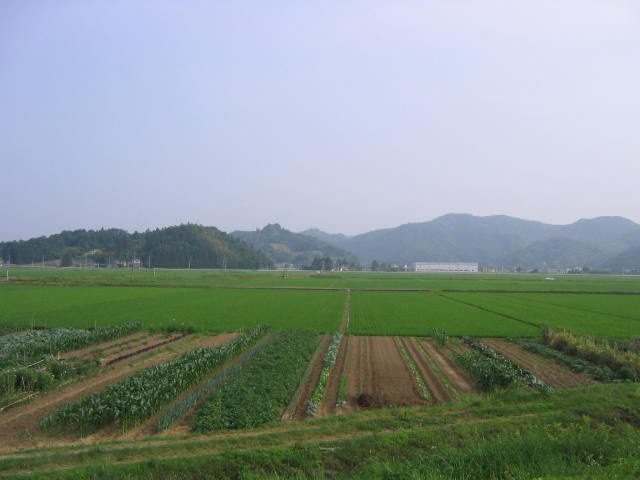 a0030217_6233117.jpg