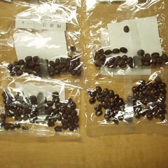 c0036617_659360.jpg