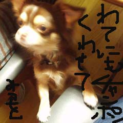 c0036617_785869.jpg