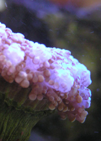 b0026541_0264175.jpg