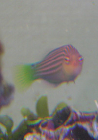 b0026541_033453.jpg