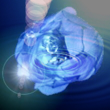 a0030248_10562536.jpg