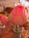 d0029958_2131444.jpg