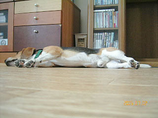 e0007060_18325818.jpg