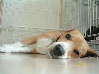 e0007060_18385779.jpg