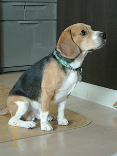 e0007060_184154.jpg