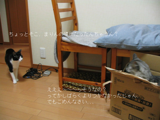 a0021061_22371476.jpg