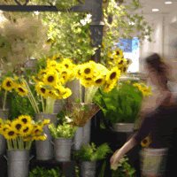 c0062361_2103958.gif