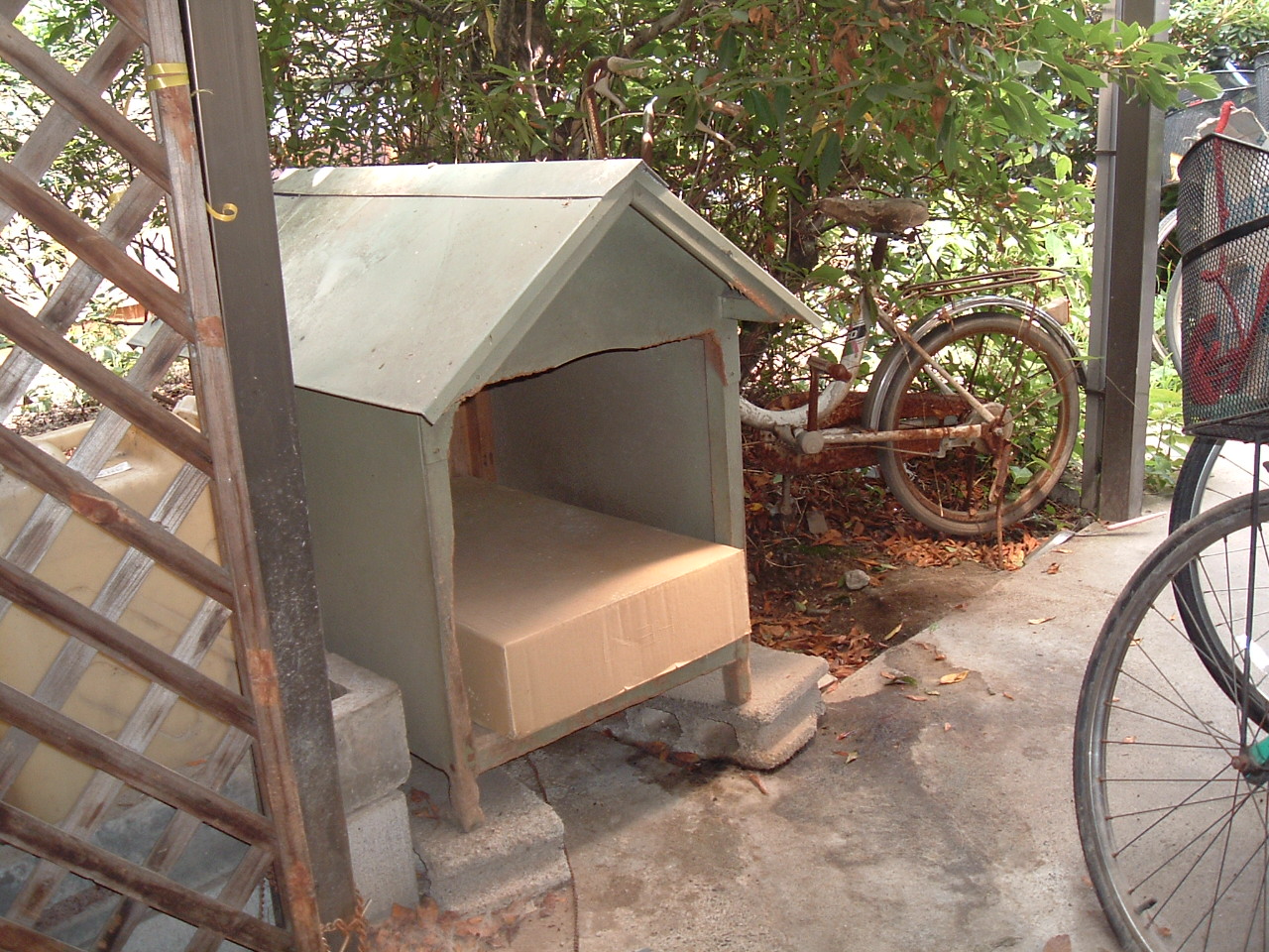 e0010302_1827547.jpg