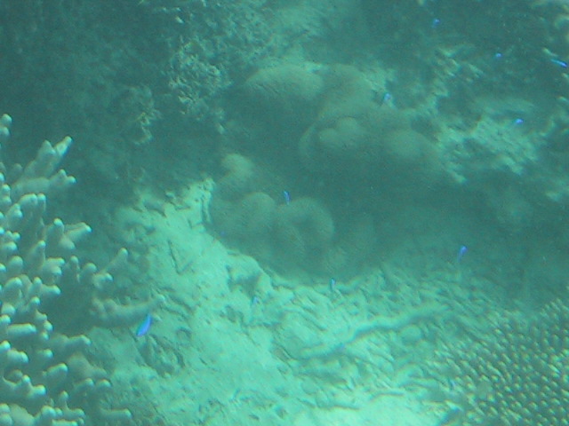 b0050803_0224076.jpg