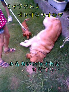 d0046905_19313180.jpg