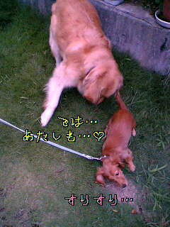 d0046905_19333217.jpg