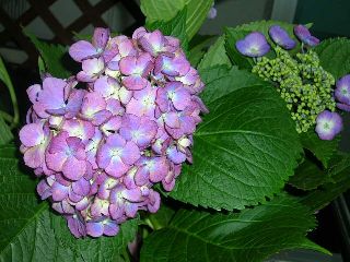 a0027712_22544993.jpg