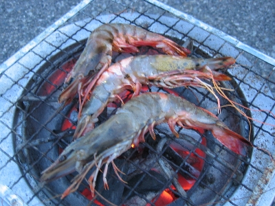 b0002914_11363248.jpg