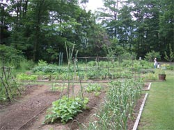 b0034422_21355362.jpg