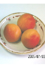 c0011446_2129332.jpg