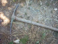 c0068149_1658461.jpg