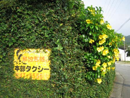 b0049152_2042258.jpg