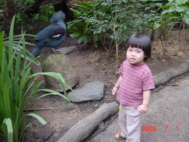 d0065459_1341579.jpg