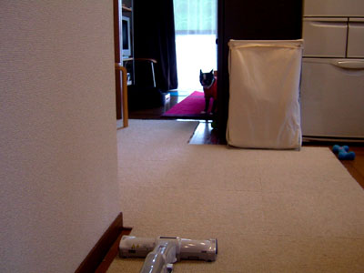 c0032567_2030264.jpg
