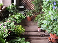 a0035678_10515311.jpg