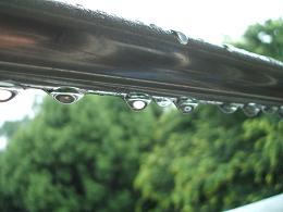 b0061010_10511326.jpg