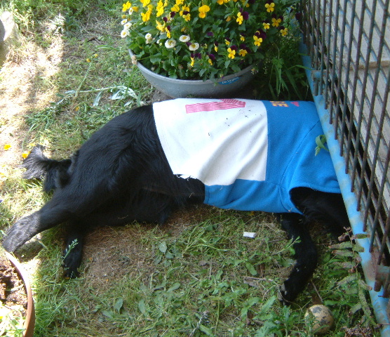 c0017311_165148.jpg