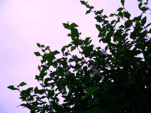 a0015815_1828032.jpg