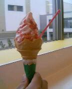 c0052035_207373.jpg