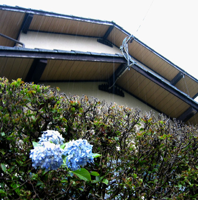 b0065936_12393491.jpg