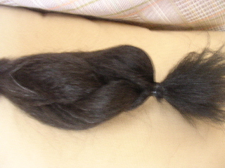 c0065643_15355782.jpg