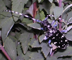 c0054148_843571.jpg