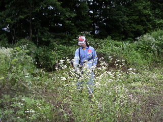 b0001656_17454442.jpg