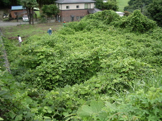 b0001656_17488100.jpg