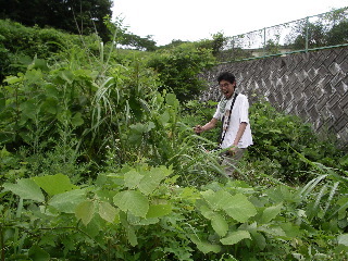 b0001656_17494051.jpg