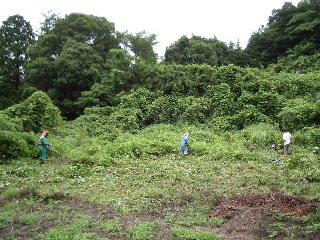 b0001656_17524722.jpg