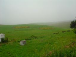 d0043161_18582152.jpg