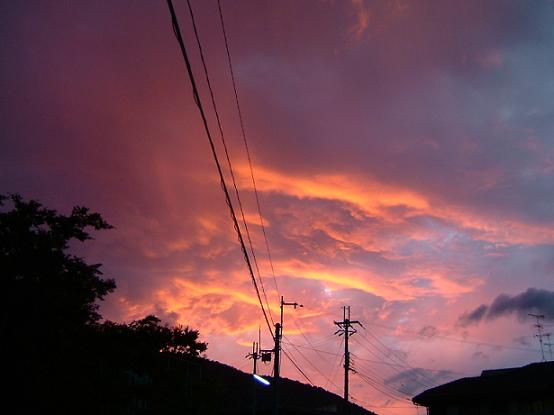 b0048766_1795276.jpg